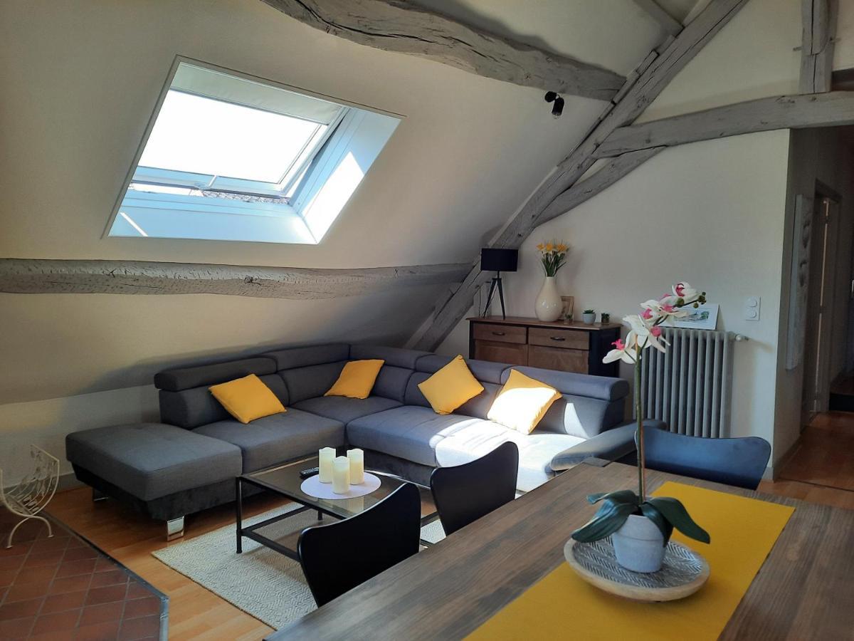 Grand Appartement Tout Confort Proche De Chambord Saint-Claude-de-Diray Екстериор снимка