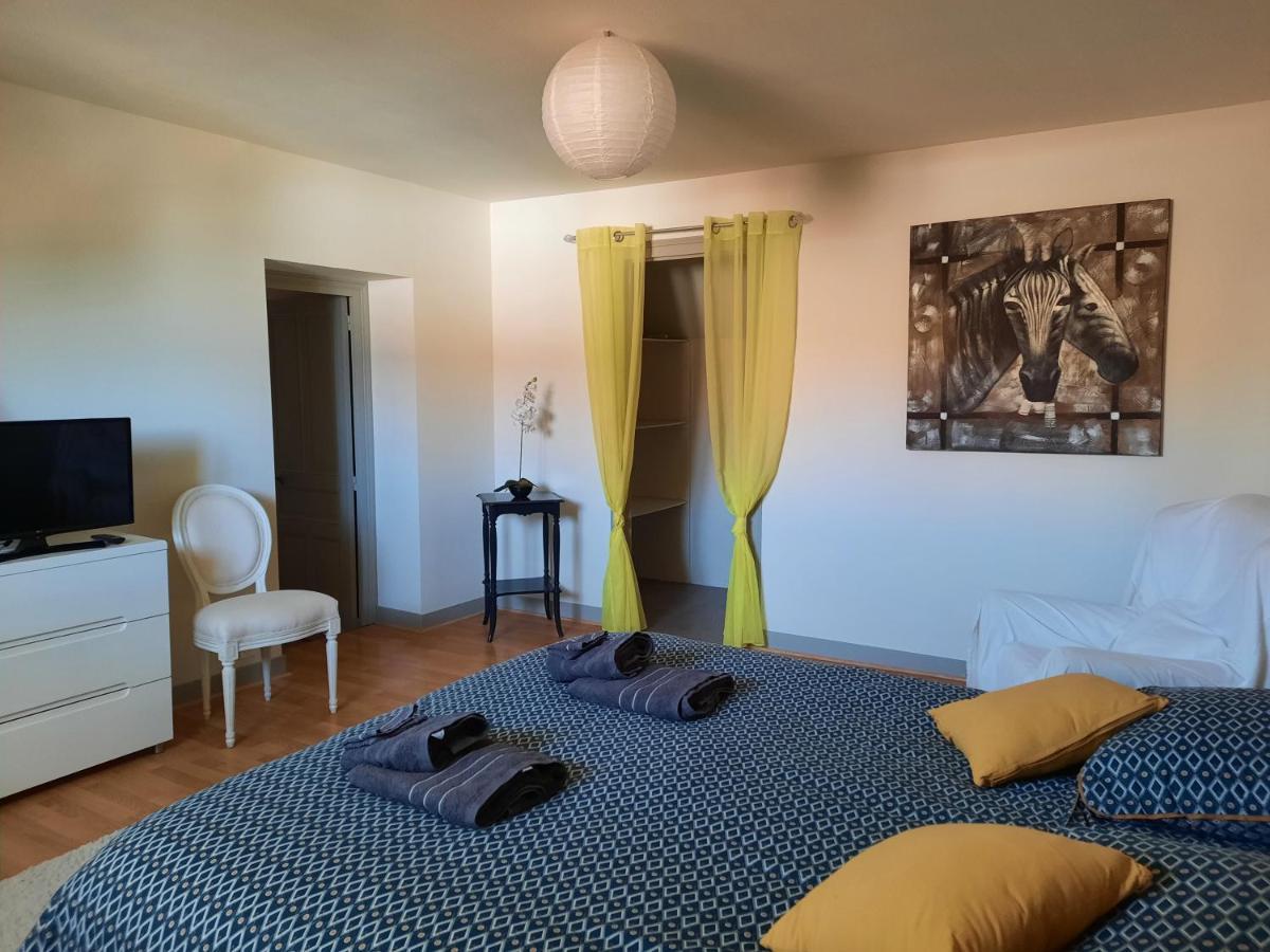 Grand Appartement Tout Confort Proche De Chambord Saint-Claude-de-Diray Екстериор снимка