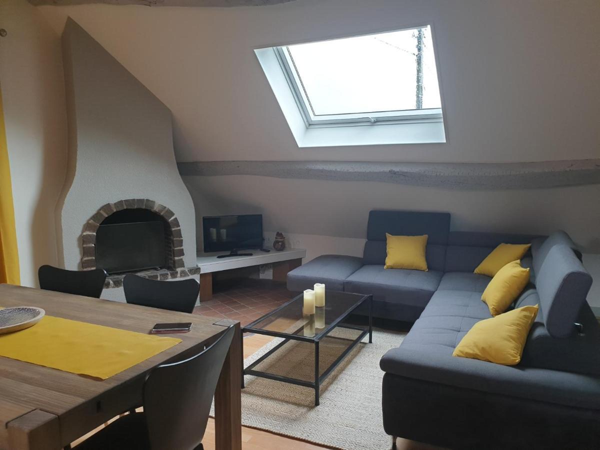 Grand Appartement Tout Confort Proche De Chambord Saint-Claude-de-Diray Екстериор снимка
